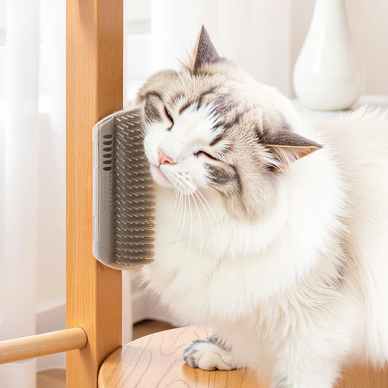 Self Grooming Brush for Cats Wall Corner Dog Massage Comb Catnip Enhanced Tickling Brush Pet Grooming Tool for Feline Self-Care