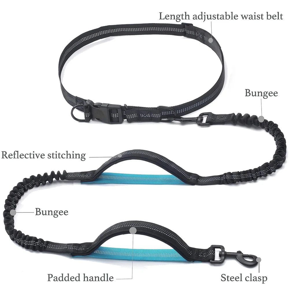 Hands Free Dog  Leash for Pet Walking Running Retractable Elastic Belt Dog Traction Rope for Running Walking Pet Products