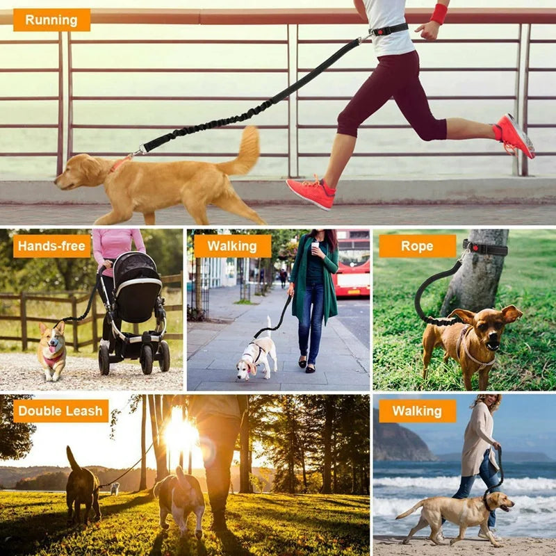 Hands Free Dog  Leash for Pet Walking Running Retractable Elastic Belt Dog Traction Rope for Running Walking Pet Products